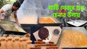 খাটি খেজুর গুড় চেনার উপায়