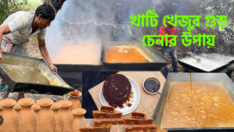 খাটি খেজুর গুড় চেনার উপায়